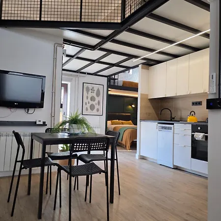 Alava 46 - Industrial Loft For 3 People - Wifi Vut-5321-as