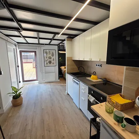 Alava 46 - Industrial Loft For 3 People - Wifi Vut-5321-as Apartment